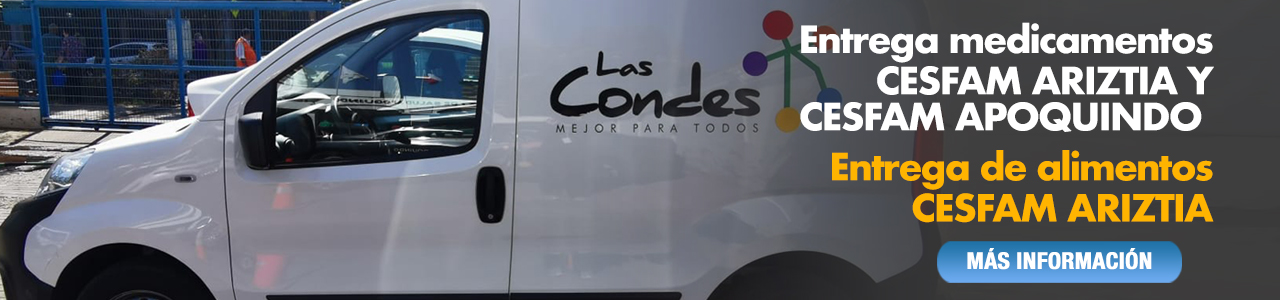 Plan piloto apoya a 1.000 adultos mayores en Las Condes